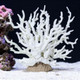 Xyembu Fish Tank Fake Coral Artificial Aquarium Coral Ornament Aquarium Decor Plastic Plant Small Multi-Purpose Simulation Water Grass Faux Aquariums Ornament