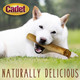 Cadet Premium Grade Beef Hide for Dogs, Rawhide Long Lasting Dog Chews, Chips, Curls & Rolls for Small/Medium/Large Dogs