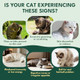 Yotango Cat Flea Treatment Crunchy & Creamy Chewables 500 Chews Natural Flea And Tick Prevention For Cats + Skin And Coat Support Daily Oral Supplement Chewables For Cats And Kittens (Salmon Flavor)