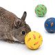 Niteangel Treat Ball Snack Ballfor Guinea Pigs Rabbits Hedgehogs and Other Small Pets (Small Yellow)