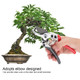 Pruning Snip Pruning Shears Garden Clipper Trimming Scissors for Fruit Trees Bonsai Plants Flowers'