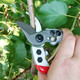 Pruning Snip Pruning Shears Garden Clipper Trimming Scissors for Fruit Trees Bonsai Plants Flowers'