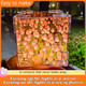 Creative DIY Tulip Flower Sea Cube Three-Dimensional Small Night Lamp Material Package for Girlfriend Couple Girlfriend