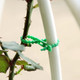 Reusable Garden Cable Ties Plant Support Shrubs Fastener Tree Locking Nylon Adjustable Plastic Cable Ties Tools (Color : 13cm Size : 100PCS)