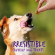 Fruitables Baked Dog Treats - Pumpkin Treats for Dogs - Healthy Low Calorie Treats - of Wheat, Corn and Soy - Pumpkin and Blueberry - 12 Ounces (2 Pack) Fruitables Baked Dog Treats - Pumpkin Treats for Dogs - Healthy Low Calorie Treats - of Wheat, Corn and Soy - Pumpkin and Blueberry - 12 Ounces (2 Pack)