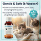 Bipinelyt Dewormer For Cats & Kittens Liquid Fenbendazole Broad Spectrum Suspension Removes 3Ml