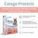 Catego For Cats Flea And Tick Treatment & Prevention (Over 1Month Supply 1.5 Lbs