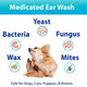 Bexley Labs Curaseb Dog Ear Infection Treatment Solution 12Oz
