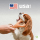 Benebone Wishbone Durable Dog Chew Toy For Aggressive Chewers Made In Usa