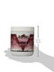 Animed AnihistH To Support Normal Histamine Levels In Horses 20Ounce