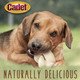 Cadet Premium Grade Beef Hide For Dogs Long Lasting Rawhide Donut Bone 1 Count 5 Inch
