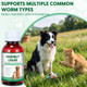 Bikontrun Dewormer For Dogs And Cats Broad Spectrum Digestive Support Removal Of