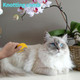 Aecsze 6 Pcs Pet Multifunctional Knotting Comb For Dogs Cats Puppies And