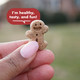 Buddy Biscuits Softies Soft & Chewy Grain Dog Treats Beef . Pouch 5 Oz