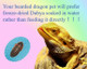 Classic Flock FreezeDried Dubia High Protein Reptile & Amphibian Food 2Oz