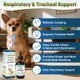 Aether Collapsed Trachea Support For Dogs Support Tracheal & Respiratory Health Trachea 2 Fl Oz