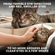 Bestlife4Pets Cat Eye Infection & Vision Care Support Holistic Vision Support For