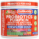 Clean Nutraceuticals Gut Health Probiotics For Dogs + Pumpkin Colostrum Digestive Enzymes Ginger
