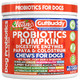 Clean Nutraceuticals Gut Health Probiotics For Dogs + Pumpkin Colostrum Digestive Enzymes Ginger