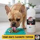 Bunny Punch Since 1990 Pure Atlantic Salmon Oil For Dogs & Cats Liquid Food Topper 32 Oz