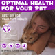 Armoya Cat Melatonin Melatonin For Cats Cat Calming Treats Cat Sedative For