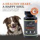 Alpha Dog Krill Oil For Dogs Vitality By Alpha Dog Nutrition