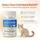 Bipinelyt Dewormer For Cat And Kittens Broad Spectrum Praziquantel & Pyrantel Pamoate 50 Tablets