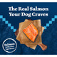 Blue Buffalo Wilderness With Salmon High Protein Dry Dog Food For Adult Dogs 4.5 Lbs