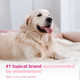 Douxo S3 Calm Itch Soothing Mousse For Dogs & Cats 5 Fl Oz