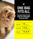 Fi 8In1 Dog Supplement Powder
