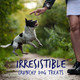Fruitables Skinny Mini Low Calorie Dog Treats Healthy Soft Sweet Potato Training 12 Oz Variety Pack