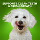 Fruitables Bioactive Fresh Mouth Dental Chews Small Dog Treats Pet Supplies Teeth 7.3Oz 25 Lbs