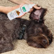 Forticept Dog Ear Infection Treatment Dog Ear Cleaner Itch Relief Cat And 8 Oz