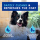 Douxo Spa Waterless Dog Shampoo LeaveOn Mousse Cleans And Refreshes Leaves The 10 Fl Oz