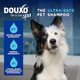 Douxo Spa Waterless Dog Shampoo LeaveOn Mousse Cleans And Refreshes Leaves The 10 Fl Oz