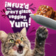 Friskies Purina Friskies Glaz'd And Infuz'd With Gravy Glaz'd Shrimp Flavored Wet 5.5 Ounce Pack Of 24