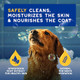Douxo Spa Oatmeal Dog Shampoo Moisturizes The Skin Leaves The Coat Soft 16 Fl Oz