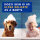 Douxo Spa Oatmeal Dog Shampoo Moisturizes The Skin Leaves The Coat Soft 16 Fl Oz