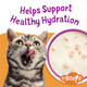 Friskies Purina Friskies Grain Lickable Cat Food Toppers Lil' Soups With 1.2 Oz Pack Of 8