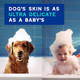 Douxo Spa Dog Shampoo For Smelly Dogs Hydrates The Skin Removes Bad 16 Fl Oz