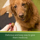 Greenies Pill Pockets Treats For Dogs Hickory Smoke Tablet Size (Pack Of 30 Count