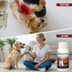 Fliko Fenbendazole Dewormer For Dogs & Cats Liquid For Roundworms Hookworms Tapeworms 100 Ml