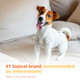 Douxo S3 Pyo Pads 3% Chlorhexidine Wipes For Dogs And Cats Antiseptic 30 Pads