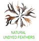 Ecocity Cat Toys No Chemical Dyeing Cat Feather Toys For Indoor Cats