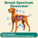 Durvmed Pyrantel Pamoate DeWormer For Medium And Large Dogs Oral Treatment For