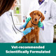 Durvmed Pyrantel Pamoate DeWormer For Medium And Large Dogs Oral Treatment For