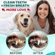 Ecoearth Premium Teeth Cleaning Wipes For Dogs & Cats 50 Pcs Pet