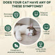Hgdsyka Lvermect For Cat 100Ml