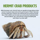 Fluker's Premium Variety Diet Food For Hermit Crabs 4 Oz