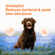 Douxo S3 Pyo Chlorhexidine Shampoo & Mousse For Dogs Set Antibacterial & Antiseptic 6.7 Oz